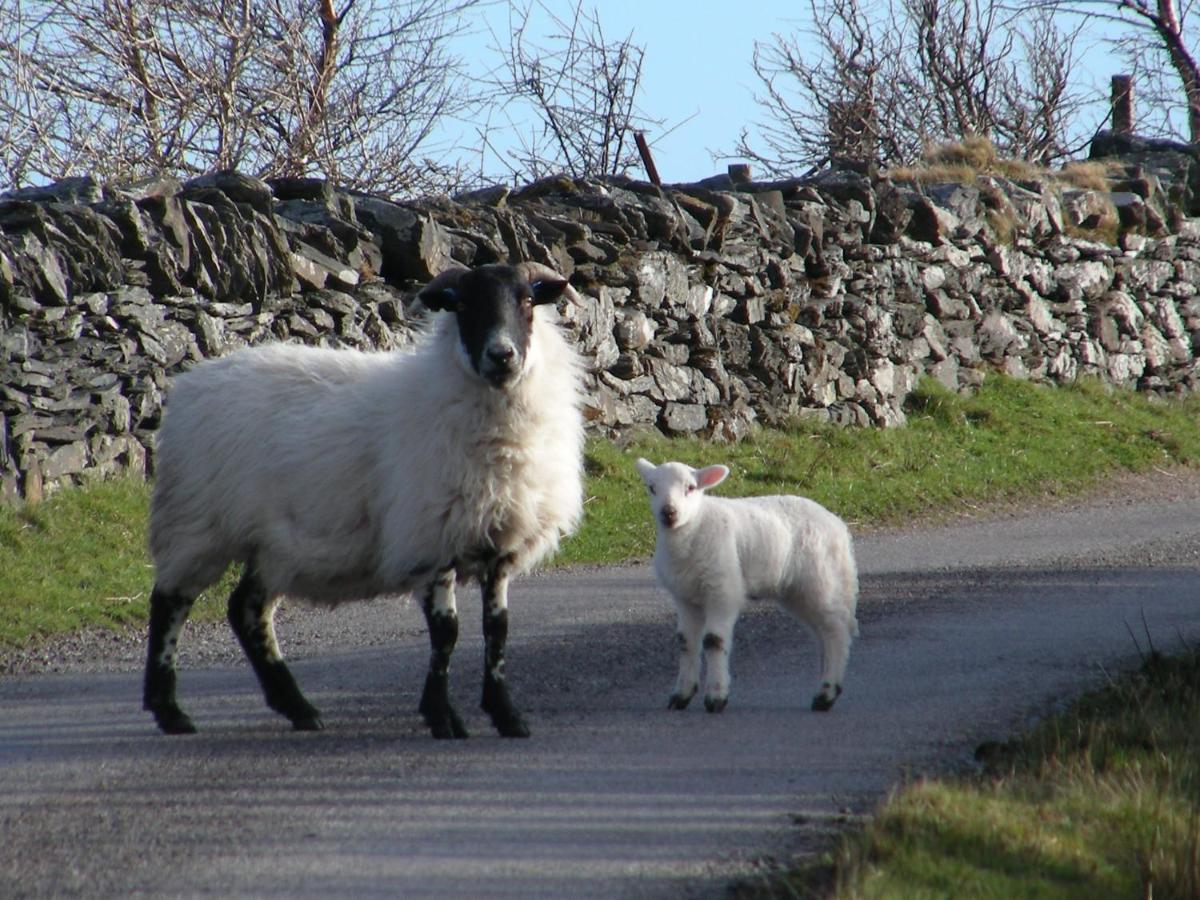 Sunnybrae, Isle Of Luing Hotel Cullipool Bagian luar foto